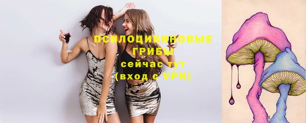 PSILOCYBIN Медногорск