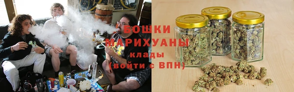 PSILOCYBIN Медногорск