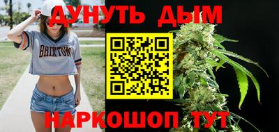мдпв Бийск