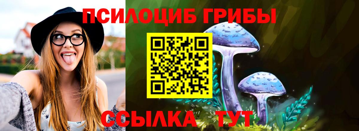 Псилоцибиновые грибы мухоморы  Березники  Псилоцибиновые грибы Cubensis 